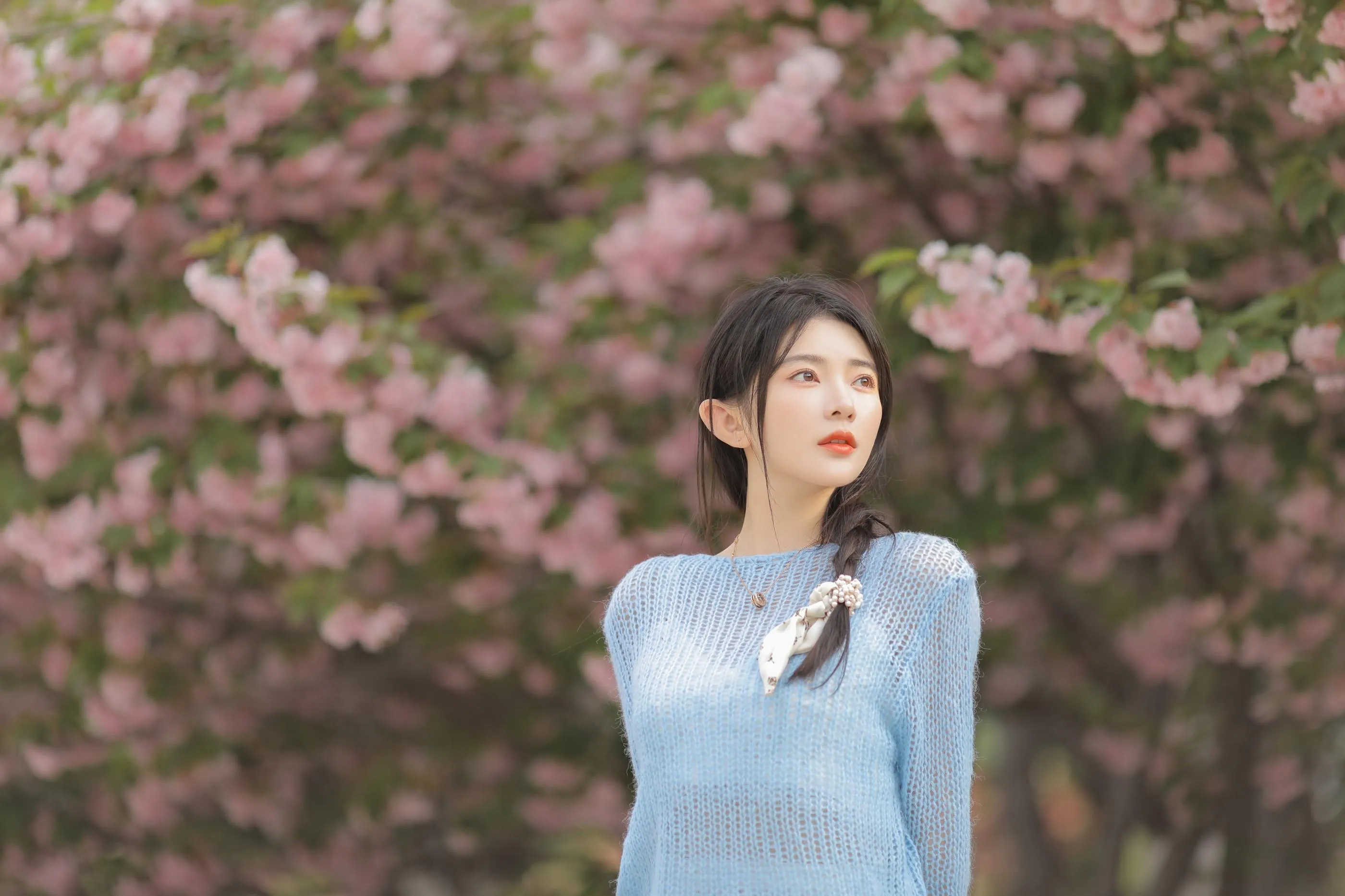 [艺图语] 2022.06.22 粉蓝晚樱 杨伊墨 [29P]插图1